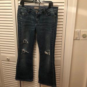 PAIGE Laurel Canyon mid-rise distressed Jeans, 31